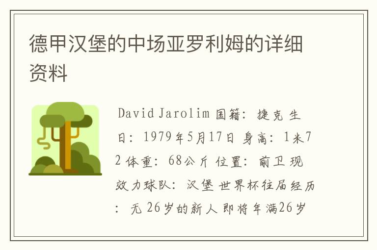 德甲汉堡的中场亚罗利姆的详细资料