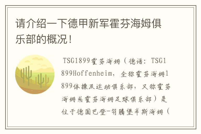 请介绍一下德甲新军霍芬海姆俱乐部的概况!