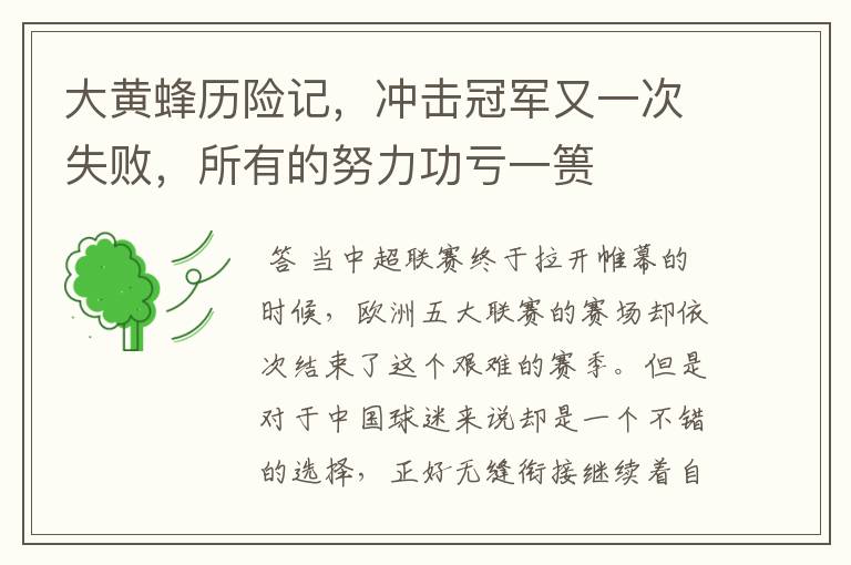 大黄蜂历险记,冲击冠军又一次失败,所有的努力功亏一篑