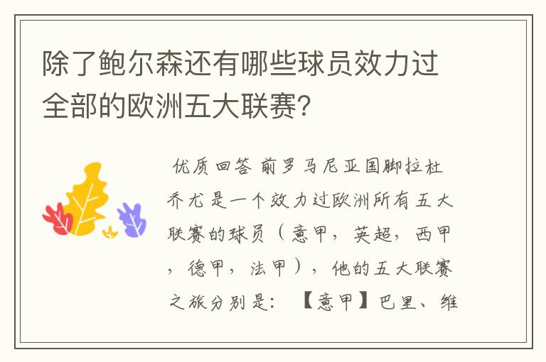 除了鲍尔森还有哪些球员效力过全部的欧洲五大联赛?