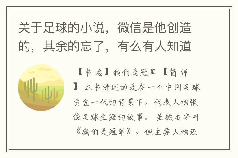 关于足球的小说，微信是他创造的，其余的忘了，有么有人知道叫啥