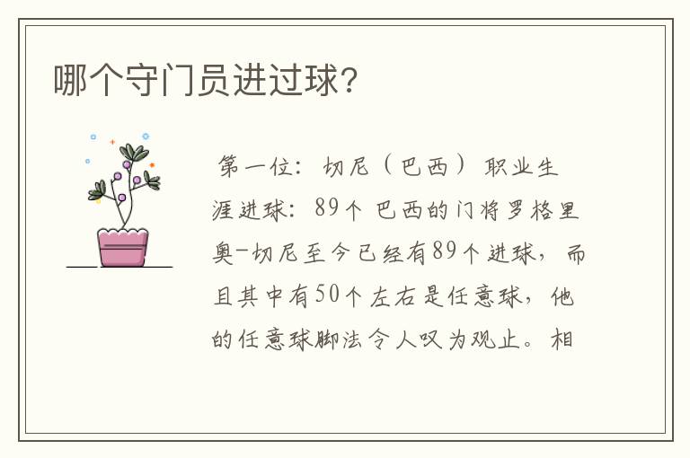 哪个守门员进过球?