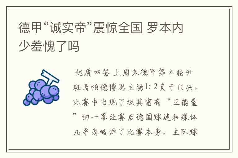 德甲“诚实帝”震惊全国 罗本内少羞愧了吗