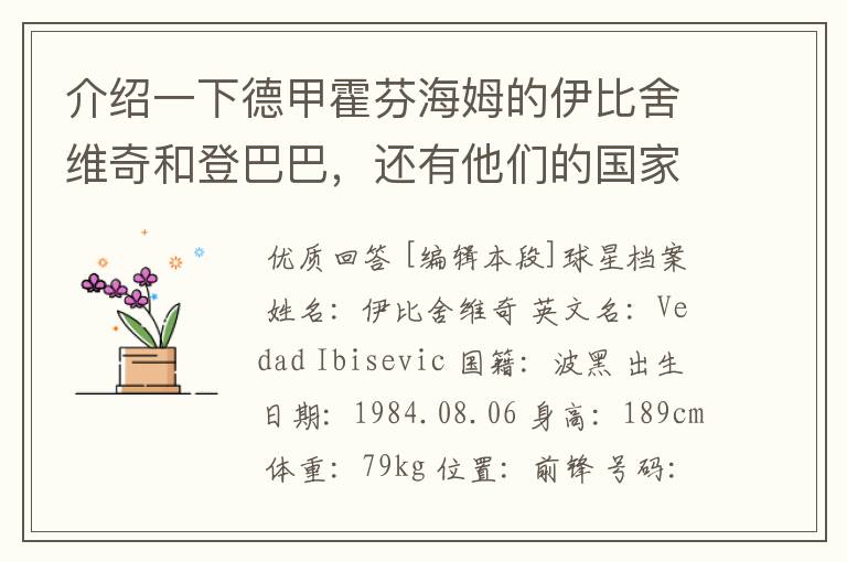 介绍一下德甲霍芬海姆的伊比舍维奇和登巴巴,还有他们的国家队履历