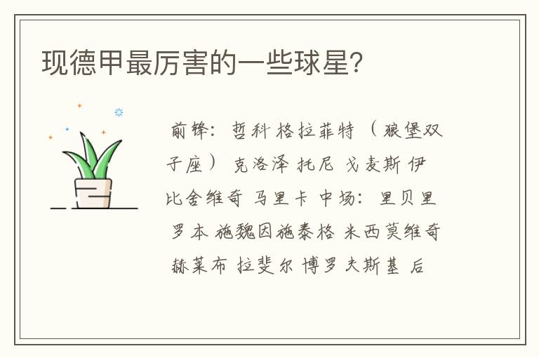 现德甲最厉害的一些球星?