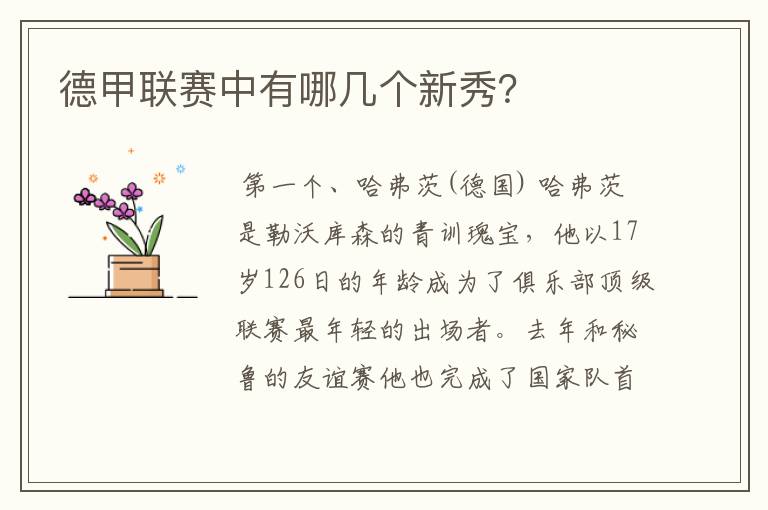 德甲联赛中有哪几个新秀?