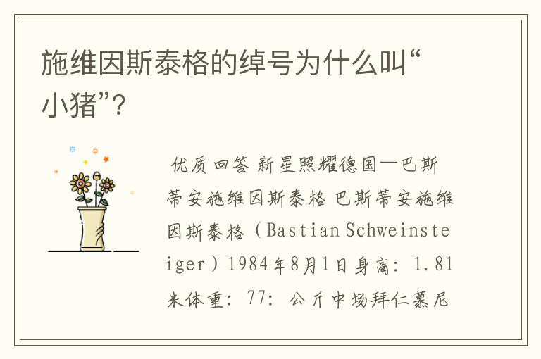 施维因斯泰格的绰号为什么叫“小猪”？