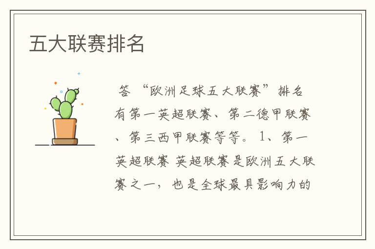 五大联赛排名