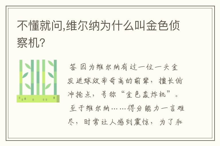 不懂就问,维尔纳为什么叫金色侦察机?