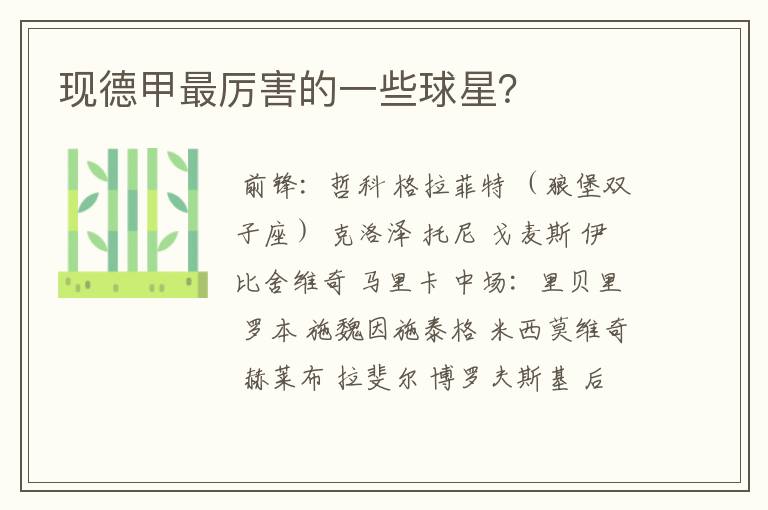 现德甲最厉害的一些球星?