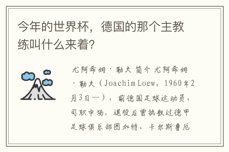 今年的世界杯,德国的那个主教练叫什么来着?