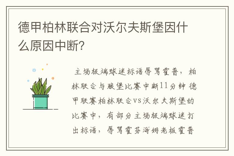 德甲柏林联合对沃尔夫斯堡因什么原因中断?