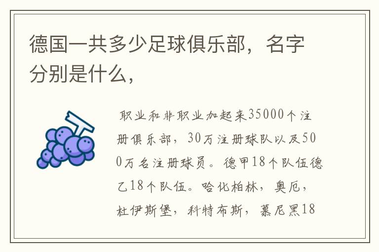 德国一共多少足球俱乐部,名字分别是什么,