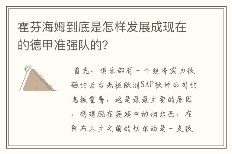 霍芬海姆到底是怎样发展成现在的德甲准强队的?