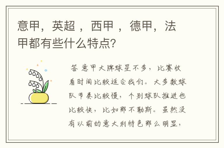 意甲,英超 ,西甲 ,德甲,法甲都有些什么特点?