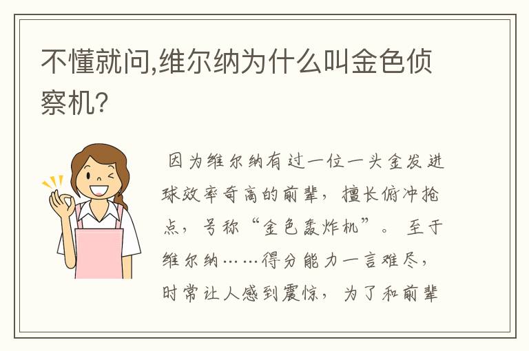 不懂就问,维尔纳为什么叫金色侦察机?