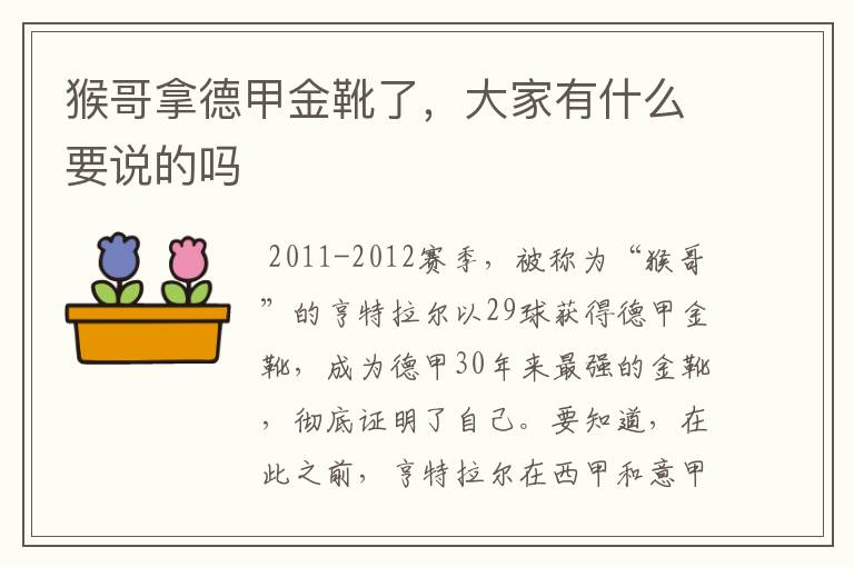 猴哥拿德甲金靴了,大家有什么要说的吗