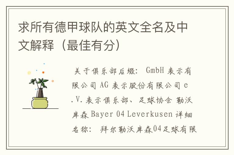 求所有德甲球队的英文全名及中文解释(最佳有分)