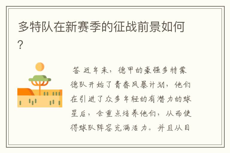 多特队在新赛季的征战前景如何?