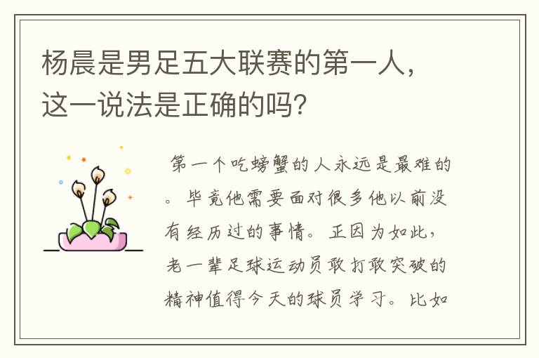 杨晨是男足五大联赛的第一人,这一说法是正确的吗?