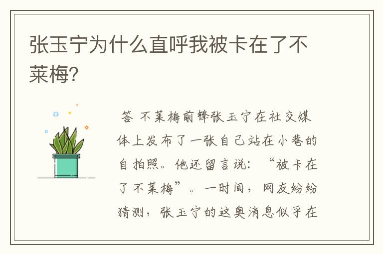 张玉宁为什么直呼我被卡在了不莱梅?