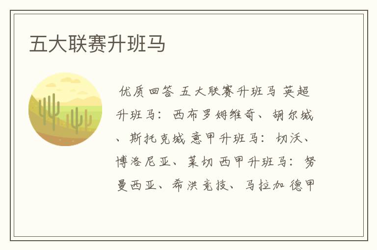 五大联赛升班马
