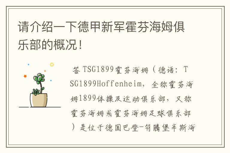 请介绍一下德甲新军霍芬海姆俱乐部的概况!