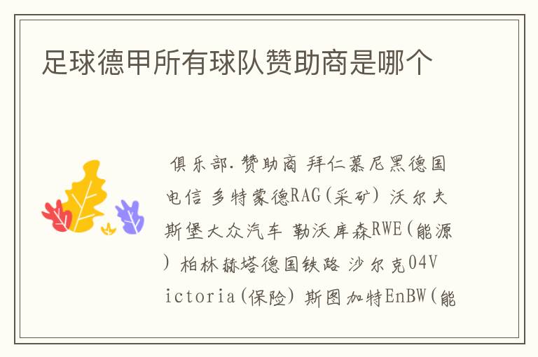 足球德甲所有球队赞助商是哪个