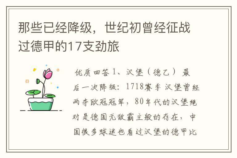 那些已经降级,世纪初曾经征战过德甲的17支劲旅