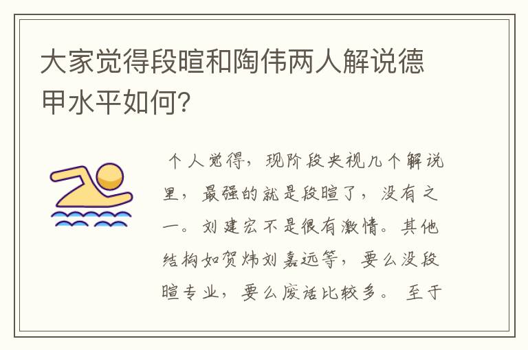 大家觉得段暄和陶伟两人解说德甲水平如何?