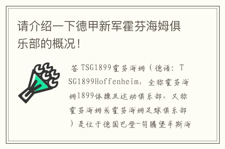 请介绍一下德甲新军霍芬海姆俱乐部的概况!