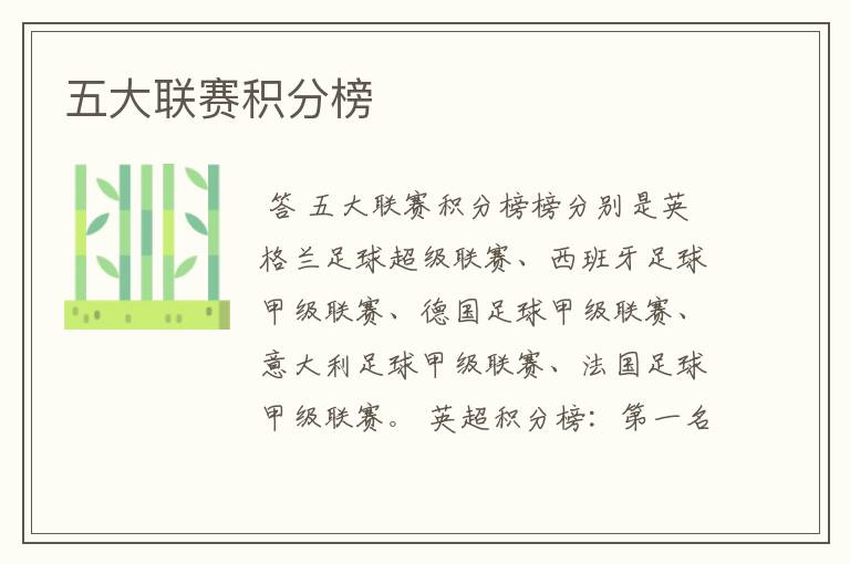 五大联赛积分榜