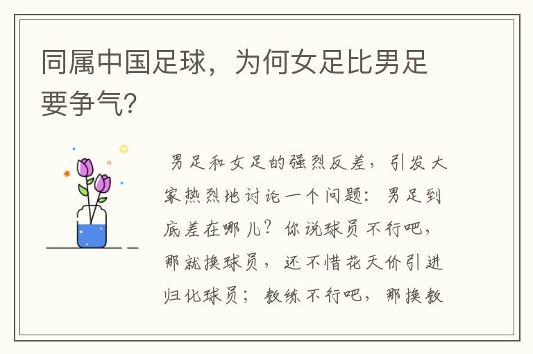 同属中国足球,为何女足比男足要争气?