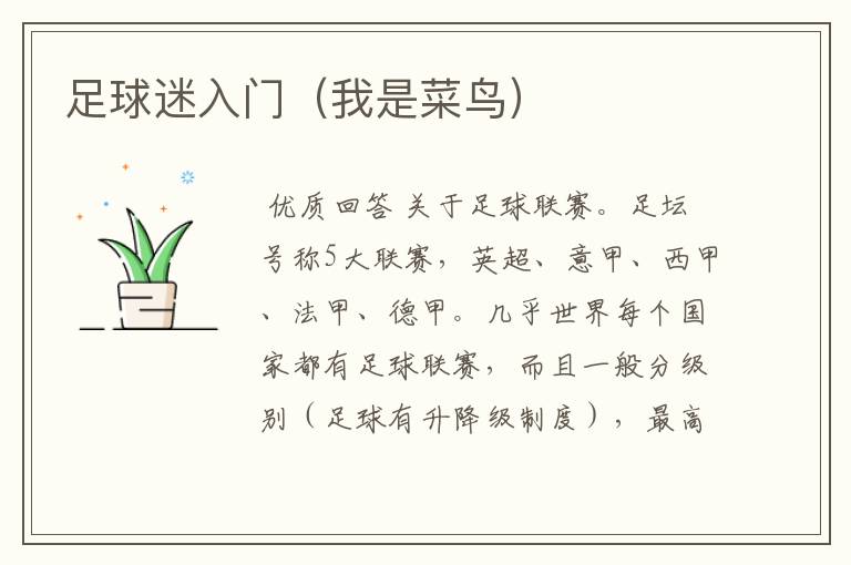足球迷入门(我是菜鸟)