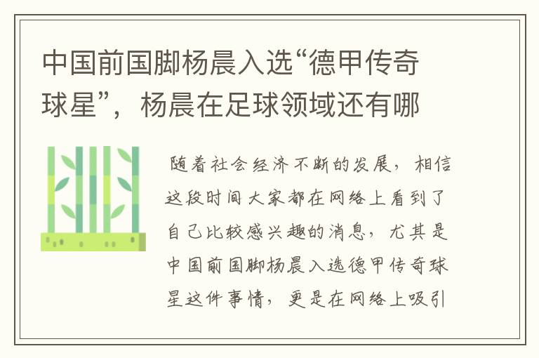 中国前国脚杨晨入选“德甲传奇球星”,杨晨在足球领域还有哪些成就?