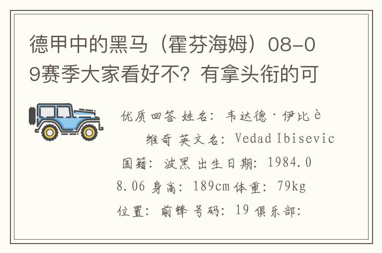 德甲中的黑马(霍芬海姆)08-09赛季大家看好不?有拿头衔的可能吗?