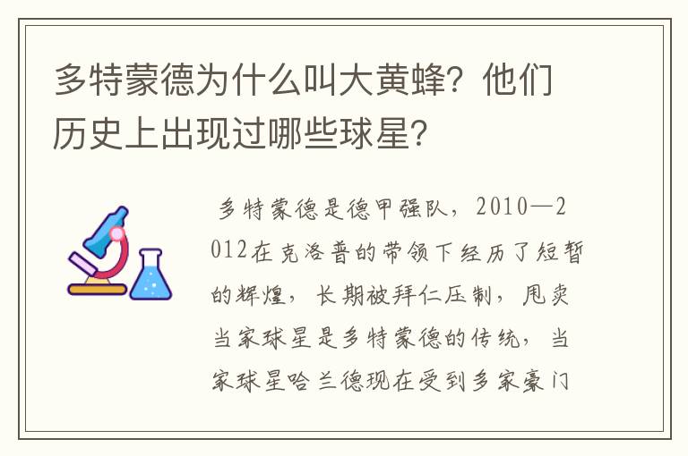 多特蒙德为什么叫大黄蜂?他们历史上出现过哪些球星?