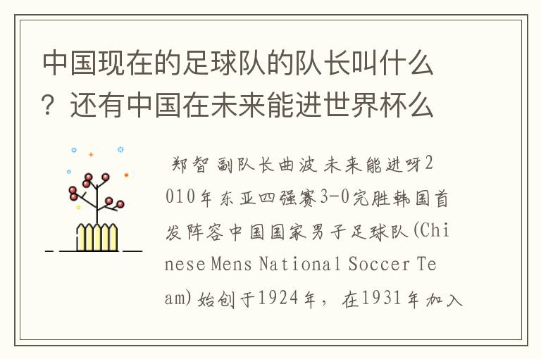 中国现在的足球队的队长叫什么?还有中国在未来能进世界杯么