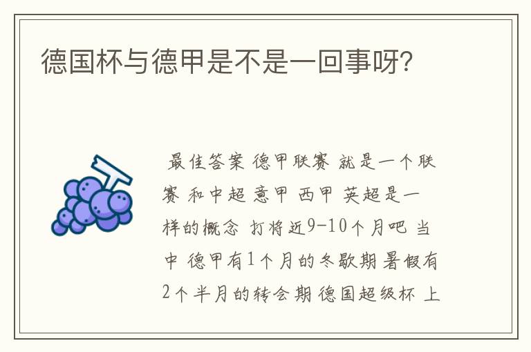 德国杯与德甲是不是一回事呀?