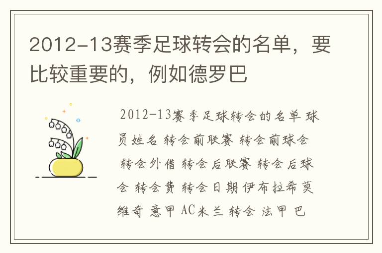 2012-13赛季足球转会的名单,要比较重要的,例如德罗巴