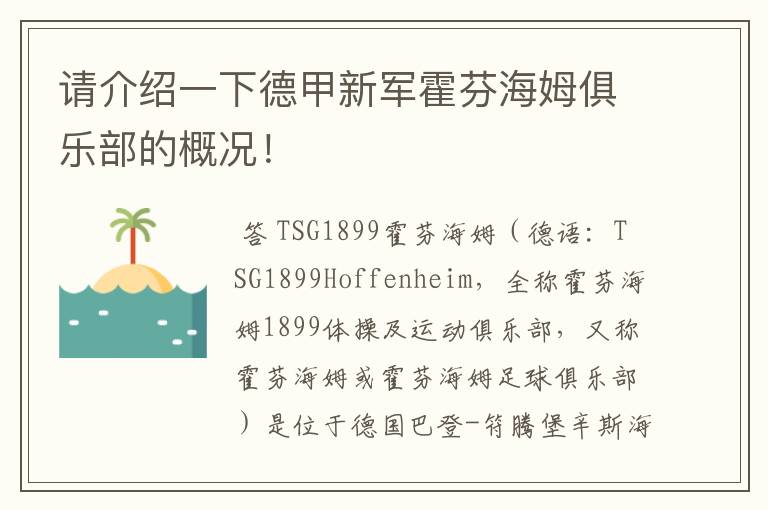 请介绍一下德甲新军霍芬海姆俱乐部的概况!