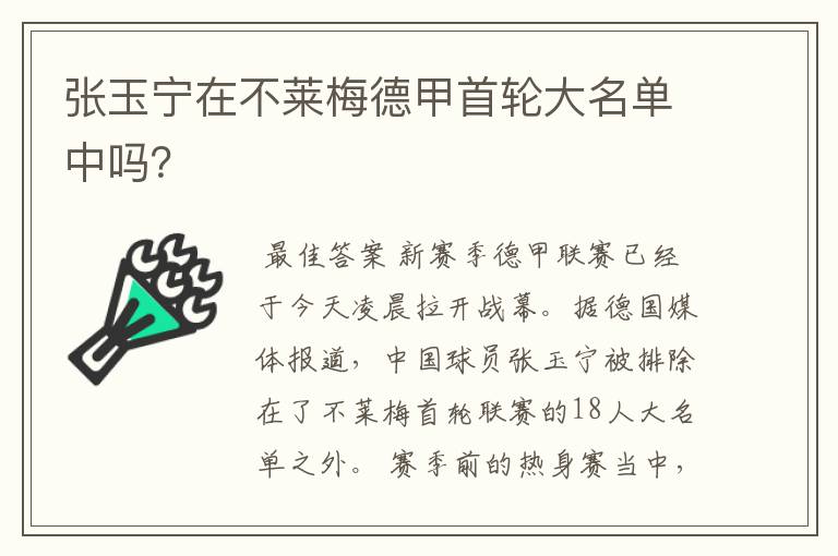 张玉宁在不莱梅德甲首轮大名单中吗?