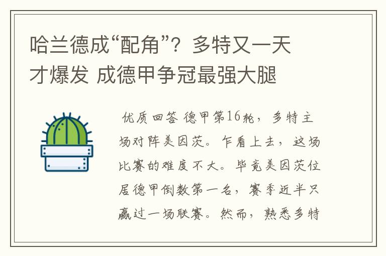 哈兰德成“配角”?多特又一天才爆发 成德甲争冠最强大腿