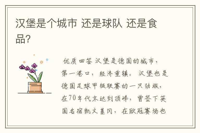 汉堡是个城市 还是球队 还是食品?
