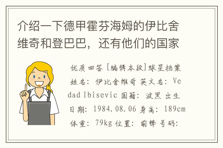 介绍一下德甲霍芬海姆的伊比舍维奇和登巴巴,还有他们的国家队履历