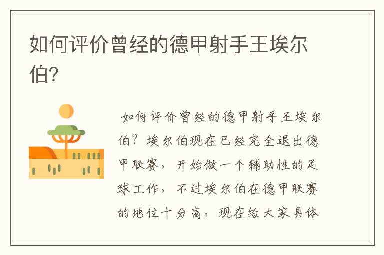 如何评价曾经的德甲射手王埃尔伯?