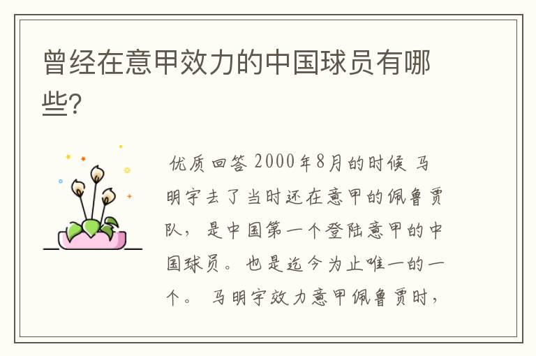 曾经在意甲效力的中国球员有哪些?