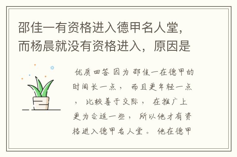 邵佳一有资格进入德甲名人堂,而杨晨就没有资格进入,原因是什么?