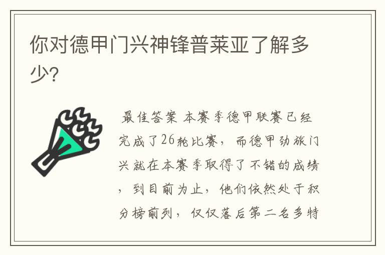 你对德甲门兴神锋普莱亚了解多少?