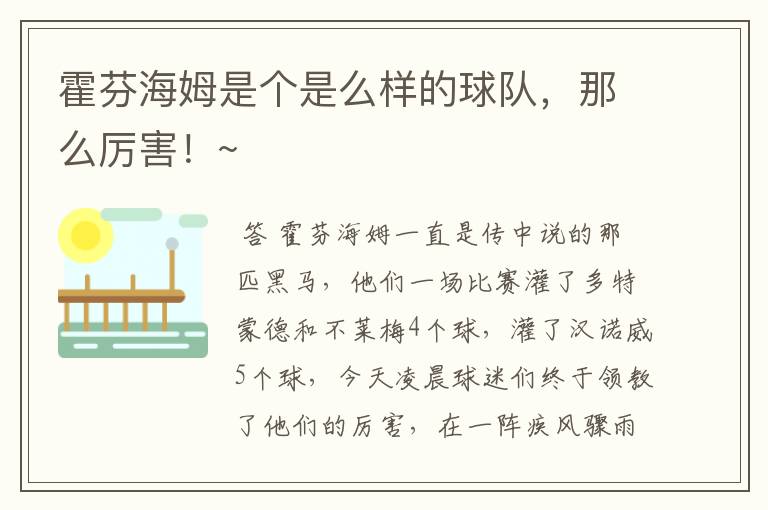 霍芬海姆是个是么样的球队,那么厉害!~